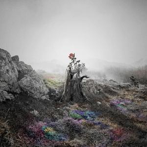 国产浓毛在线观看
