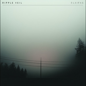 国产浓毛在线观看
