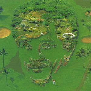 国产浓毛在线观看
