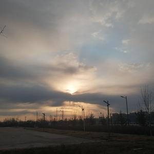 国产浓毛在线观看
