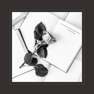 国产浓毛在线观看
